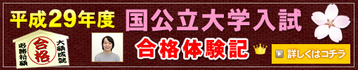 平成29年度 国公立大学入試 合格体験記